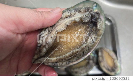 high quality fresh raw abalone 138693522