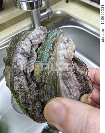 high quality fresh raw abalone 138693531