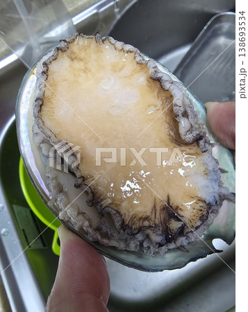 high quality fresh raw abalone 138693534