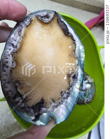 high quality fresh raw abalone 138693537