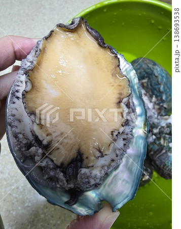 high quality fresh raw abalone high quality fresh raw abalone 138693538