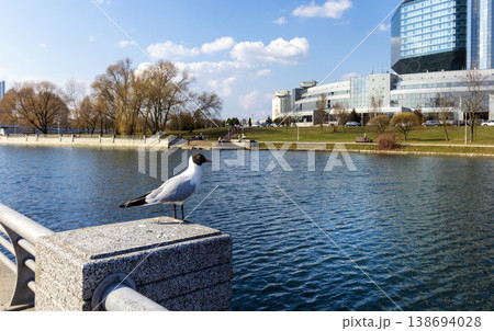 A seagull sits on the railing by the water in the city A seagull sits on the railing by the water in the city 138694028