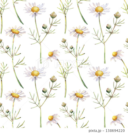 Seamless watercolor chamomile pattern on white. Delicate wild daisy flowers and green stems botanical repeat background. Seamless watercolor chamomile pattern on white. Delicate wild daisy flowers and green stems botanical repeat background. 138694220