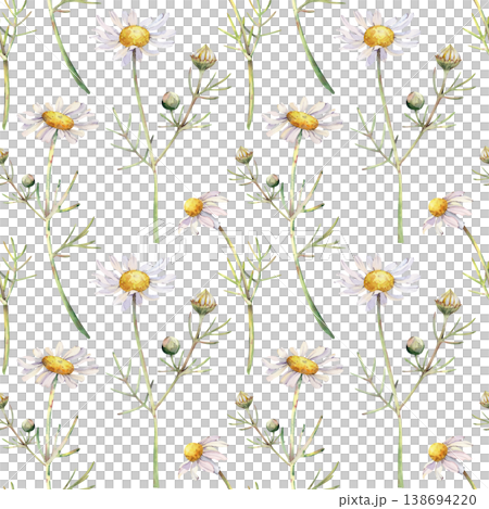 Seamless watercolor chamomile pattern on white. Delicate wild daisy flowers and green stems botanical repeat background. Seamless watercolor chamomile pattern on white. Delicate wild daisy flowers and green stems botanical repeat background. 138694220