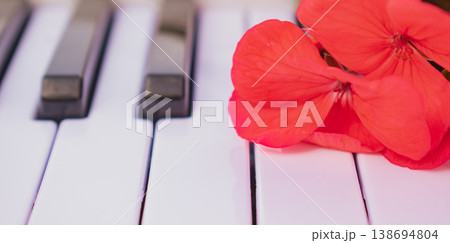 Creative artistic concept of blooming red flowers on piano keyboard, side view with blurred background, musical education and spring inspiration Creative artistic concept of blooming red flowers on piano keyboard, side view with blurred background, musical education and spring inspiration 138694804