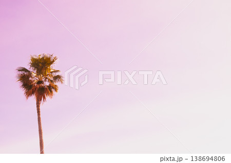 Lone palm silhouette stands against a soft pink sunset sky. Pastel gradient clouds and tropical leaves create a dreamy minimalist background for luxury summer branding Lone palm silhouette stands against a soft pink sunset sky. Pastel gradient clouds and tropical leaves create a dreamy minimalist background for luxury summer branding 138694806
