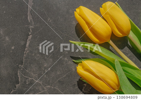 Three bright yellow tulips on a dark black marble background. Elegant high-contrast floral composition with dramatic lighting and premium stone texture. Copy space Three bright yellow tulips on a dark black marble background. Elegant high-contrast floral composition with dramatic lighting and premium stone texture. Copy space 138694809