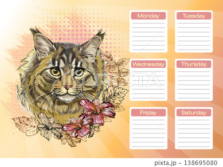 Maine Coon cat with daisy flowers printable planner and school schedule vector 138695080