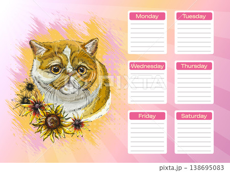 Exotic shorthair cat with sunflowers printable planner and school schedule vector 138695083
