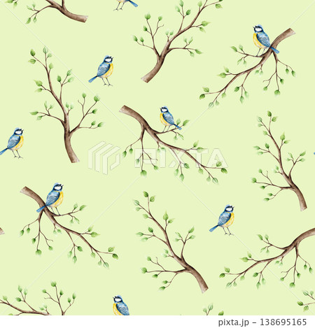 Spring seamless patterns with branch, leaves and blue tit perche. Watercolor titmouse, easter hand drawn illustration isolated on background, transparent png. Botanical and wedding clip art. For Spring seamless patterns with branch, leaves and blue tit perche. Watercolor titmouse, easter hand drawn illustration isolated on background, transparent png. Botanical and wedding clip art. For 138695165