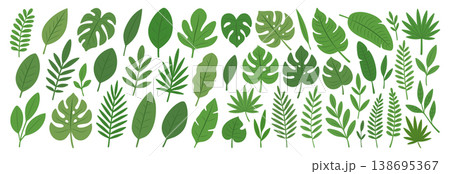 Large collection of tropical and exotic leaves. Botanical vector design, decoration, and tropical-themed projects 138695367