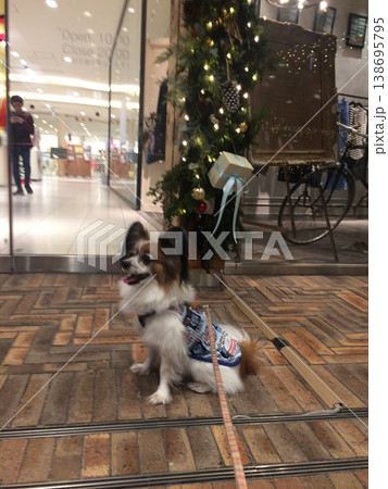 美形RISUKEクリスマスを楽しむ 138695795