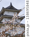 桜と明石城の櫓 春に咲くソメイヨシノと日本の城 兵庫県明石市 138695848