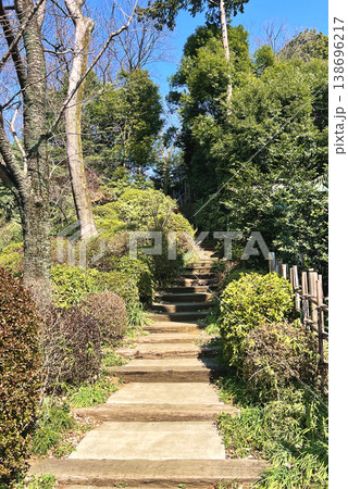 新緑の美しい日本の神社の階段と青空の風景 新緑の美しい日本の神社の階段と青空の風景 138696217
