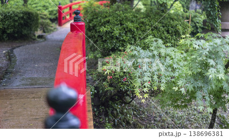雨の打吹公園 138696381