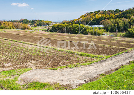 滋賀県大津市仰木の棚田風景 滋賀県大津市仰木の棚田風景 138696437