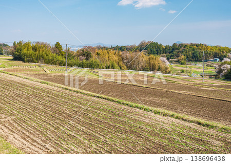 滋賀県大津市仰木の棚田風景 138696438