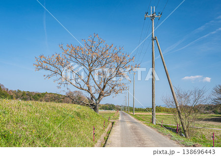 滋賀県大津市仰木の棚田風景 滋賀県大津市仰木の棚田風景 138696443