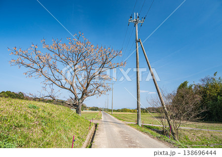 滋賀県大津市仰木の棚田風景 138696444