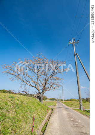滋賀県大津市仰木の棚田風景 138696445