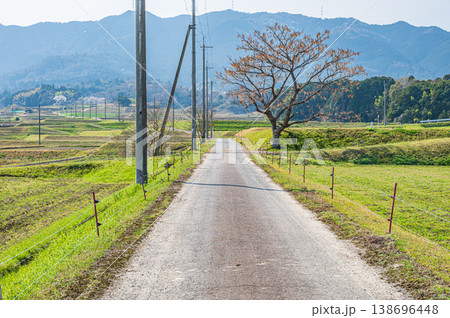 田んぼの中の一本道　滋賀県大津市仰木 138696448