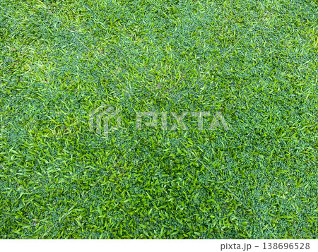 Green grass texture background, grass garden concept used for making green background football pitch, Grass Golf, green lawn pattern textured Green grass texture background, grass garden concept used for making green background football pitch, Grass Golf, green lawn pattern textured 138696528