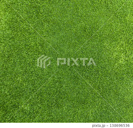Green grass texture background, grass garden concept used for making green background football pitch, Grass Golf, green lawn pattern textured 138696536