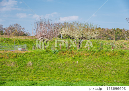 春の田園風景風景　滋賀県大津市仰木 138696698