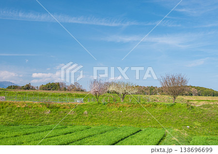 春の田園風景風景　滋賀県大津市仰木 138696699