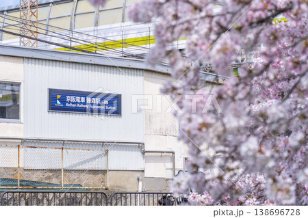 藤森駅近くの疎水端の桜並木 藤森駅近くの疎水端の桜並木 138696728