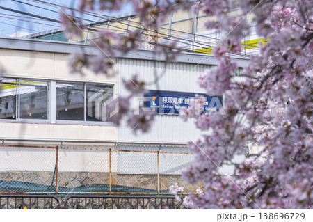 藤森駅近くの疎水端の桜並木 138696729