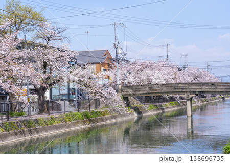 藤森駅近くの疎水端の桜並木 138696735