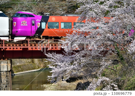 JR 鉄道, 列車, 山陰本線, 京都口, 桜, さくら, 満開, 特急, サンガ, ラッピング,  138696779