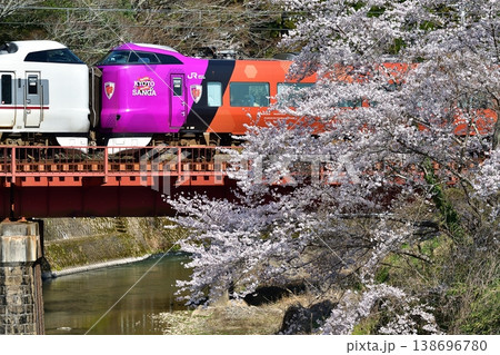 JR 鉄道, 列車, 山陰本線, 京都口, 桜, さくら, 満開, 特急, サンガ, ラッピング, JR 鉄道, 列車, 山陰本線, 京都口, 桜, さくら, 満開, 特急, サンガ, ラッピング, 138696780