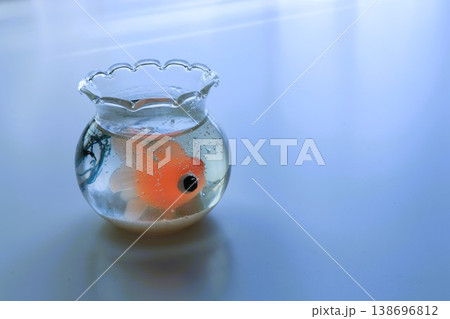 金魚鉢のイメージ 138696812