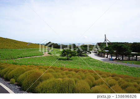 ひたち海浜公園　みはらしの丘からの眺め　茨城県ひたちなか市馬渡字大沼 138696826