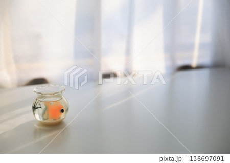 金魚鉢のイメージ 金魚鉢のイメージ 138697091