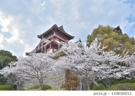 伏見桃山城の桜 138698052
