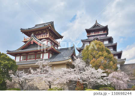 伏見桃山城の桜 伏見桃山城の桜 138698244