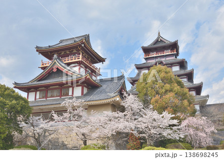 伏見桃山城の桜 伏見桃山城の桜 138698245