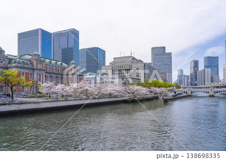 大阪中之島　大阪市中央公会堂と満開の桜 138698335