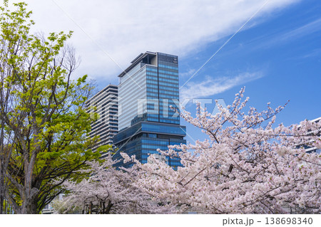 大阪中之島　満開の桜 138698340