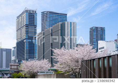 中之島　京阪大江橋駅付近の風景と満開の桜 138698342