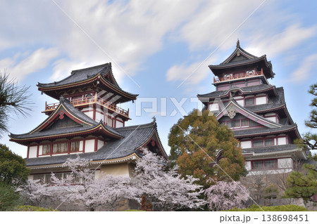 伏見桃山城の桜 伏見桃山城の桜 138698451