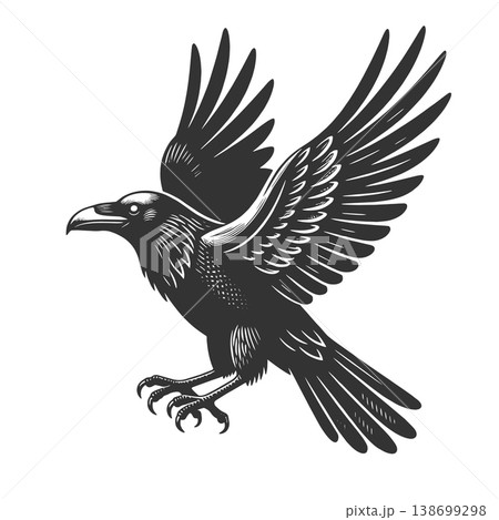 Flying Raven engraving sketch vector illustration Flying Raven engraving sketch vector illustration 138699298