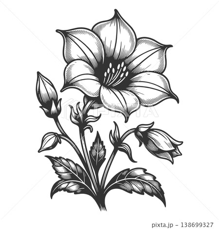 Blooming Flower With Buds Botanical Line raster 138699327