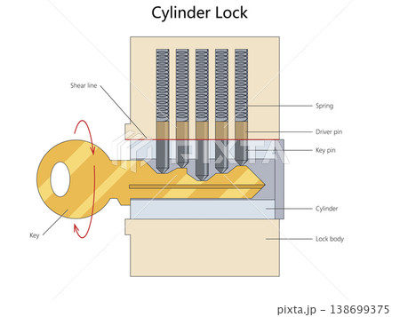Cylinder Lock Mechanism Diagram with Key Pins Cylinder Lock Mechanism Diagram with Key Pins 138699375