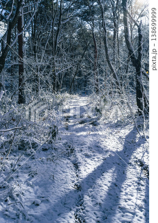 日差しの入る雪の林道の風景 c-2 寒色 日差しの入る雪の林道の風景 c-2 寒色 138699999