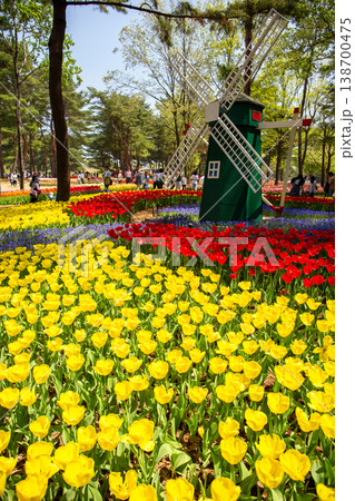 チューリップのある公園(縦) チューリップのある公園(縦) 138700475