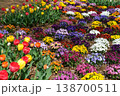 カラフルなお花畑 138700511